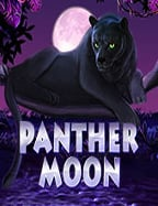 เปิดโลกการ พนันบอลออนไลน์ ฟรี2020 แบบเจาะลึก